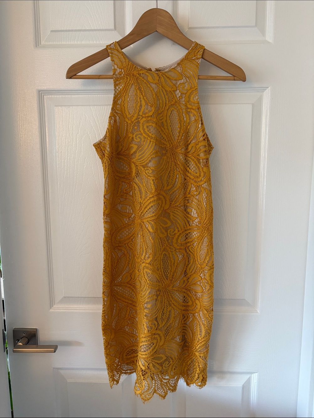 Babaton dress. Perfect condition
